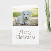 Hond Huisdier Foto Sterren Vrolijk Kerstfeest Feestdagen Kaart (Voorkant)