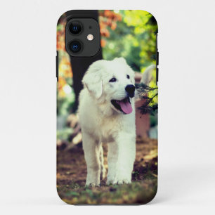 Hond, huisdier, hond Case-Mate iPhone case