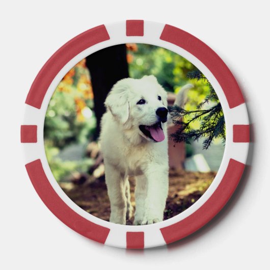 Hond, huisdier, hond poker chips (Voorkant)