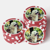 Hond, huisdier, hond poker chips (Opstapeling)