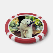 Hond, huisdier, hond poker chips (Enkel)