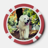 Hond, huisdier, hond poker chips (Achterkant)