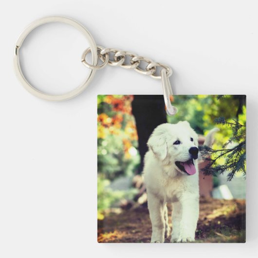 Hond, huisdier, hond sleutelhanger (voorkant)