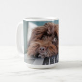 Hond, Huisdier, Opsluiting Koffiemok (Voorkant links)