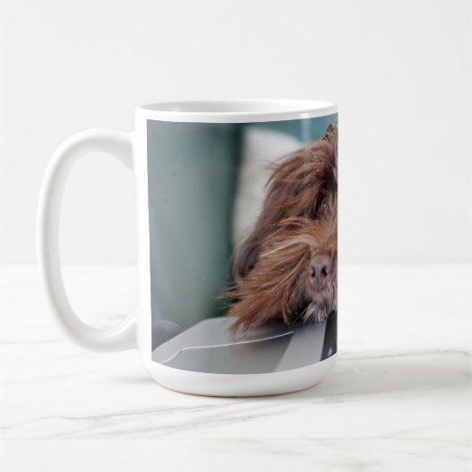 Hond, Huisdier, Opsluiting Koffiemok (Links)