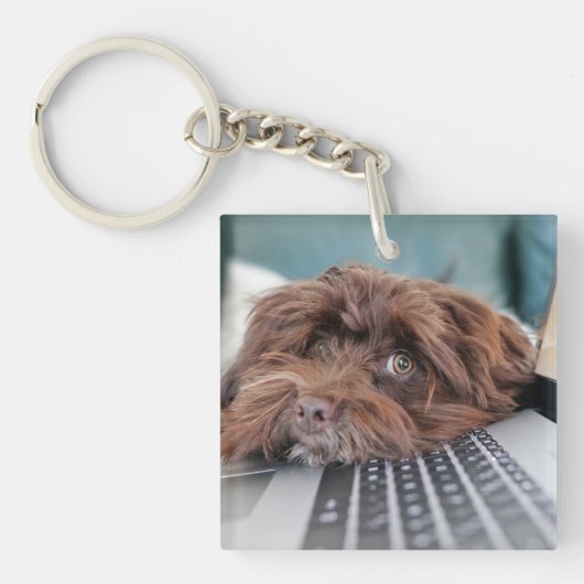 Hond, Huisdier, Opsluiting Sleutelhanger (voorkant)