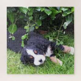hond, huisdier, schattig, dier, ras, puzzel,,puppy legpuzzel