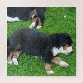 hond, huisdier, schattig, dier, ras, puzzel,,puppy legpuzzel