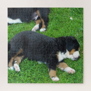 hond, huisdier, schattig, dier, ras, puzzel,,puppy legpuzzel