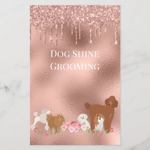 Hond Huisdier Verzorging Zitten Zakelijk Glitter Flyer