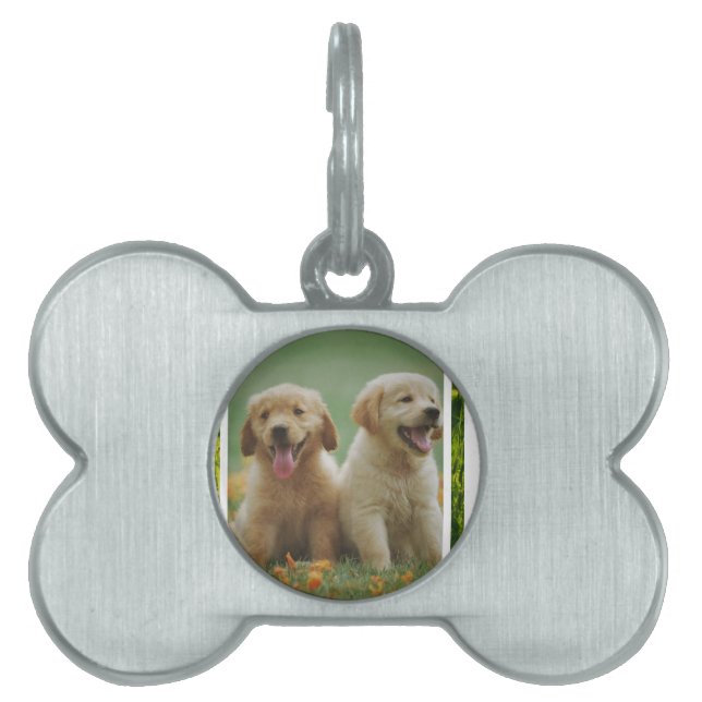 hond huisdieren naamplaatje (voorkant)