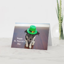 Hond Iers Pet St. Patrick's Day