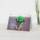 Hond Iers Pet St. Patrick's Day Feestdagen Kaart (Voorkant)