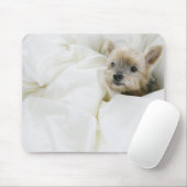 Hond in bed muismat (Met muis)