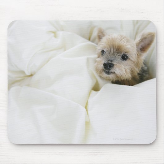 Hond in bed muismat (Voorkant)