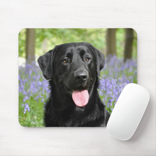 Hond in Bluebells Muismat (Met muis)