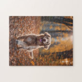 Hond in bos legpuzzel (Horizontaal)