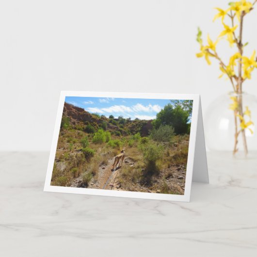 Hond in Canyon Kaart (Gele Bloem)