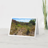 Hond in Canyon Kaart (Voorkant)