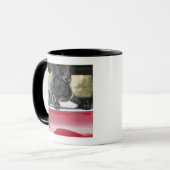 Hond in de auto mok (Voorkant links)