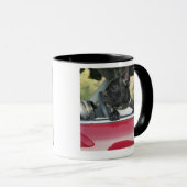 Hond in de auto mok (Voorkant rechts)