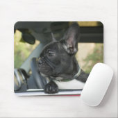 Hond in de auto muismat (Met muis)