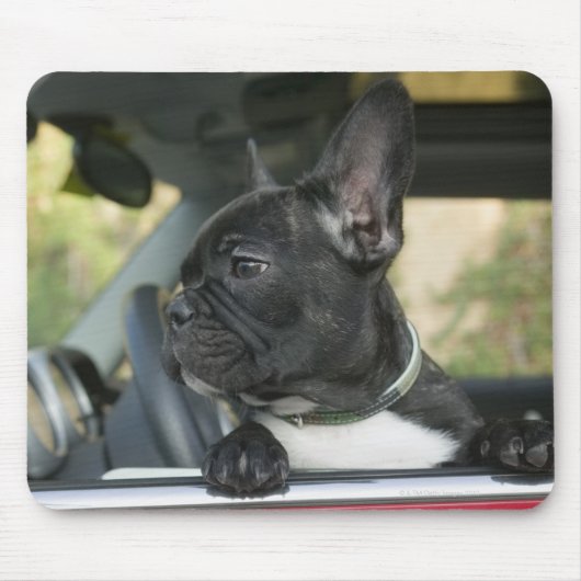 Hond in de auto muismat (Voorkant)