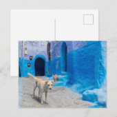 Hond in de Blauwe Stad Briefkaart (Voorkant / Achterkant)