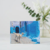 Hond in de Blauwe Stad Briefkaart (Staand voorkant)