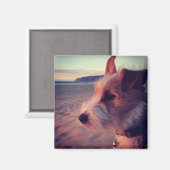 Hond in de buurt van het strand magneet (Voorkant / Achterkant)