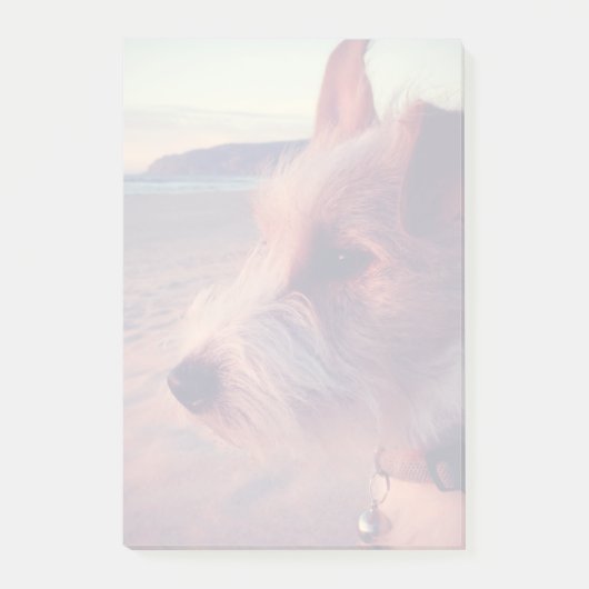 Hond in de buurt van het strand post-it® notes (Voorkant)
