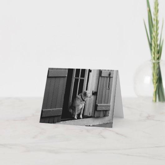 Hond in de deuropening Note Kaart (Voorkant)
