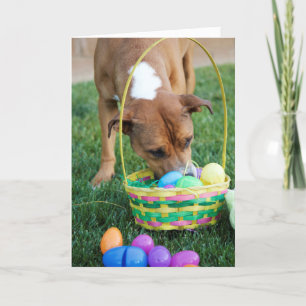 Hond in de Kaart van Pasen van de Mand
