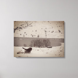 Hond in de Sneeuw Canvas Print