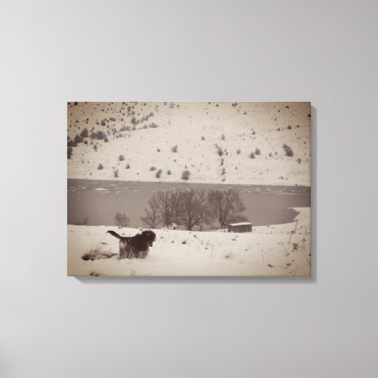 Hond in de Sneeuw Canvas Print (Voorkant)