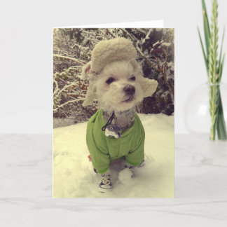 Hond in de sneeuw feestdagen kaart