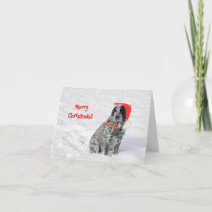 Hond in de sneeuw in kerstmuts met Prettig Kerstfe Kaart