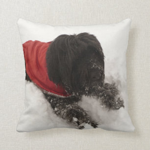 Hond in de sneeuw kussen