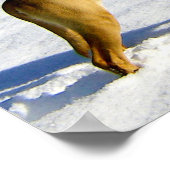 Hond in de sneeuw poster (Hoek)
