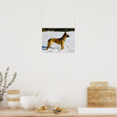 Hond in de sneeuw poster (Keuken)