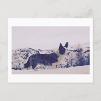 Hond in de sneeuw Vakantie Briefkaart