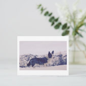 Hond in de sneeuw Vakantie Briefkaart (Staand voorkant)