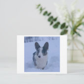 Hond in de sneeuw Vakantie Briefkaart (Staand voorkant)