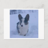 Hond in de sneeuw Vakantie Briefkaart (Voorkant)