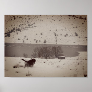 Hond in de sneeuw Value Poster Paper