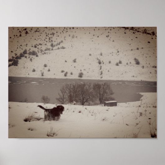 Hond in de sneeuw Value Poster Paper (Voorkant)