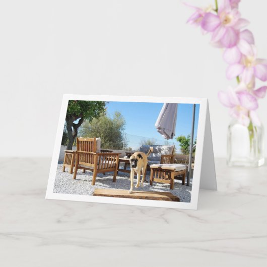 Hond in de tuin kaart (Orchidee)