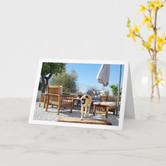 Hond in de tuin kaart (Gele Bloem)