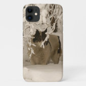 Hond in de winter Case-Mate iPhone case (Achterkant)
