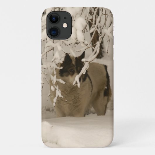 Hond in de winter Case-Mate iPhone case (Achterkant)